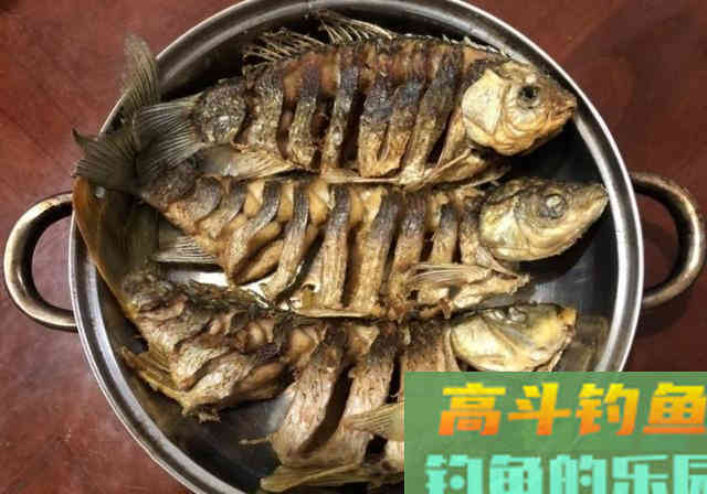 长江野钓，自制纯粮食饵料教学，钓获3条长江野生大鱼