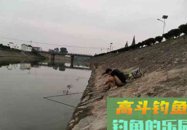 如何用一款配方应对多种鱼情？老饵变新饵的方法