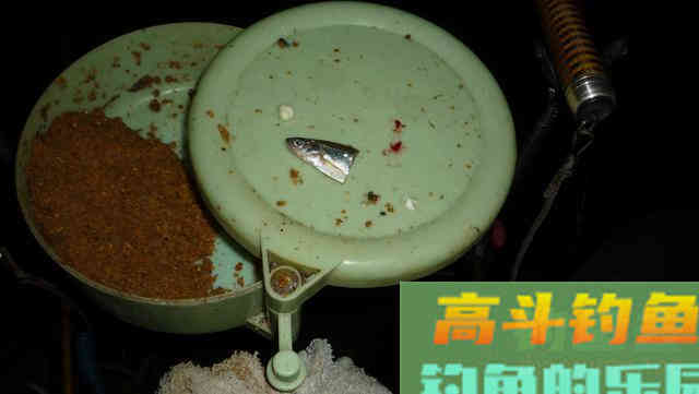 野生鱼儿可不一定喜欢渔具店里卖的饵，得看水里有啥
