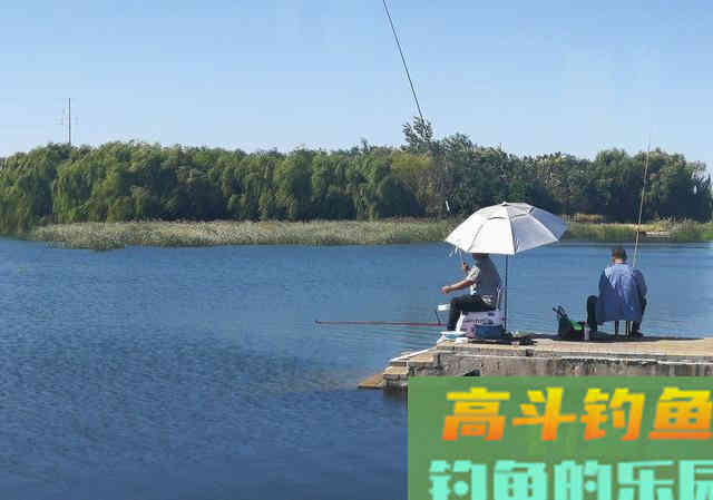 钓鱼小药的应用是否违背初心，要从添加剂本身说起