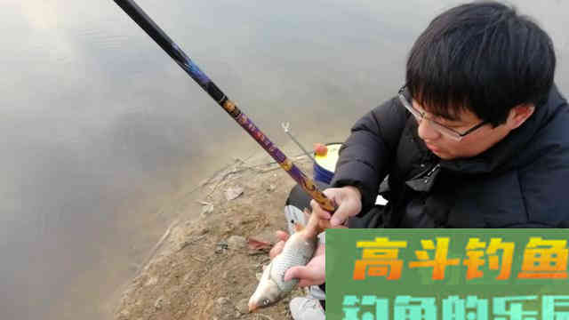 钓鲫鱼学会这样打窝，才能更好地让鱼频频咬钩