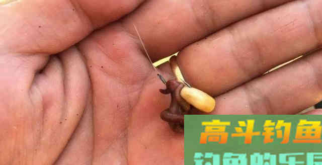 2种挂蚯蚓法，1种简单1种难，但各有优劣