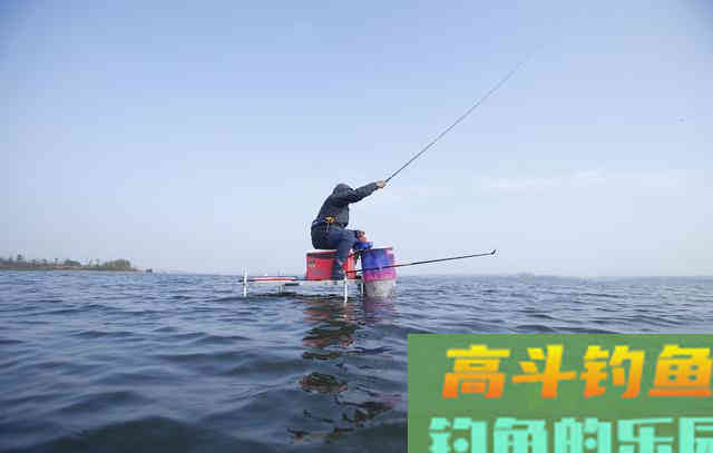 野钓饵料不一定越腥越好，浓引淡钓？分析鱼情才能钓好鱼