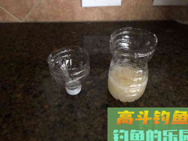 万能鱼饵非蚯蚓莫属？不，还有苍蝇也可以钓鱼