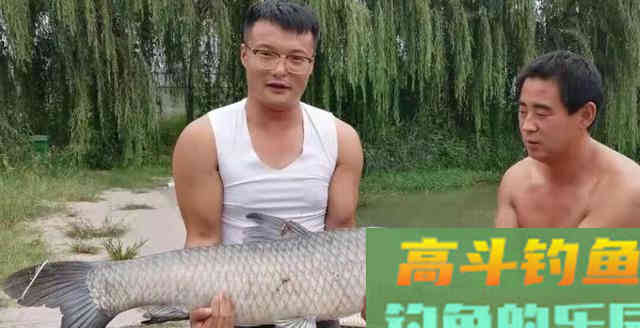 解析钓鱼做窝，窝料的气味、颜色、状态与钓鱼的关系