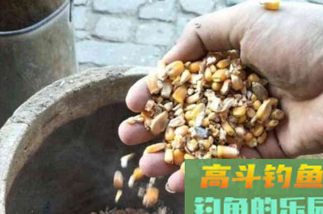 天越热，草鱼就越难钓？那是你没这百试不爽的特效饵