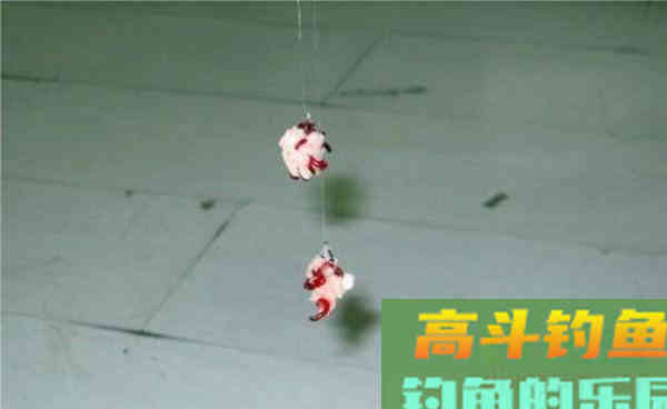 秋季台钓鲫鱼，这款饵料让你事半功倍，连竿大板鲫