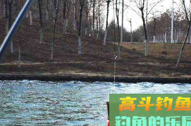 3种打窝方法，新手比较容易上手，往这看