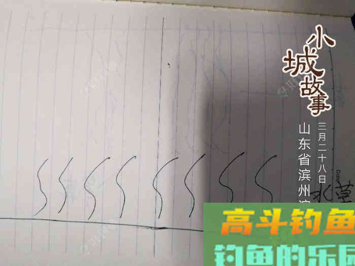 钓鱼打窝技巧——我自身经历的钓鱼
