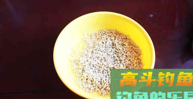 豆芽麦粒加这些做窝料，湖库钓鱼必备
