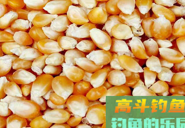 小伙自制钓鱼窝料，花了200块买了40斤原料