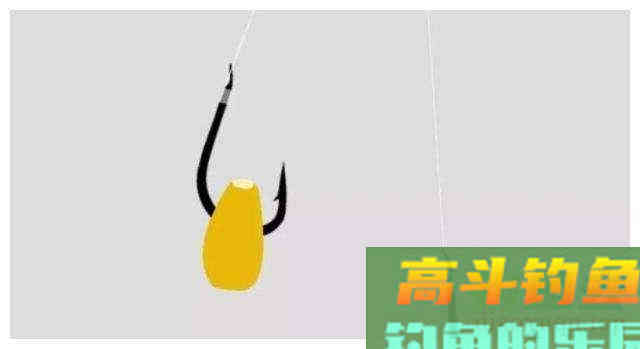 嫩玉米的几种实用挂钩方法，秋天守钓大物爽