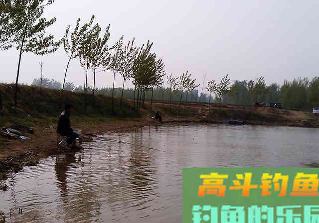 不起眼的东西，拿来做饵料钓鱼效果好，半天钓18斤