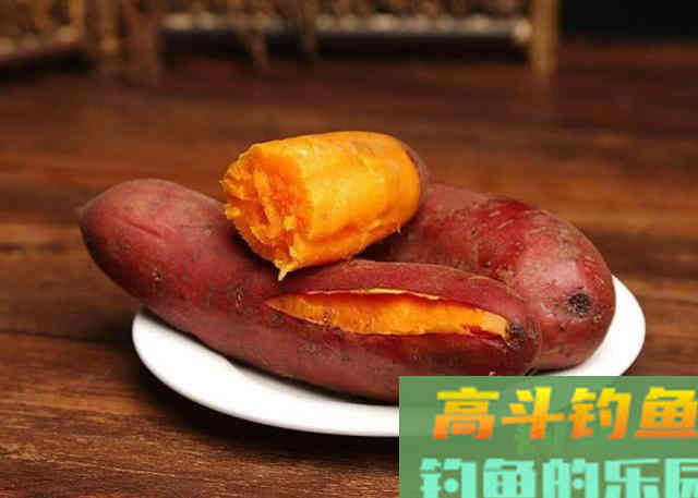 如何用红薯制作钓鱼饵料？特别适合秋天野钓鲤鱼