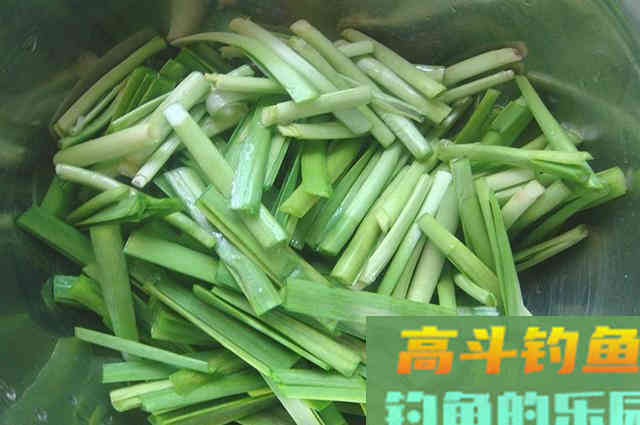 这款韭菜自制饵，钓草鱼效果非常好