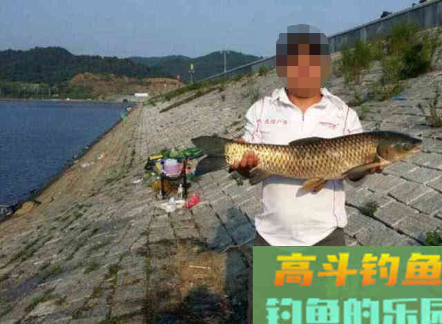 玉米粒窝料和钓饵的制作方法，特别适合大水面