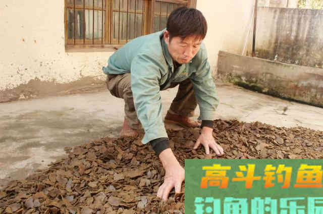野钓草的3款窝饵配方，三十年的经验验证