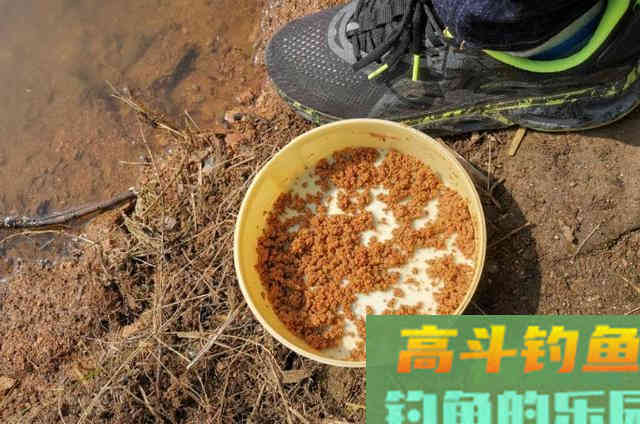 这诱钓绝学我偷偷用了20年，现在想想都来劲