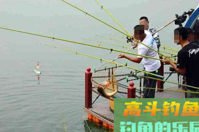 钓鱼新手使用鱼饵的五个误区，不要被大师忽悠了