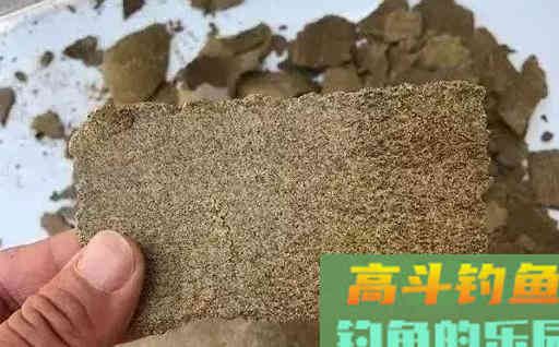 钓鲤鱼不用花钱买饵料，这三样东西几乎零成本