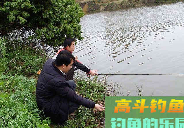 发窝之后，鱼儿半天不给口，问题一准出在这些地方