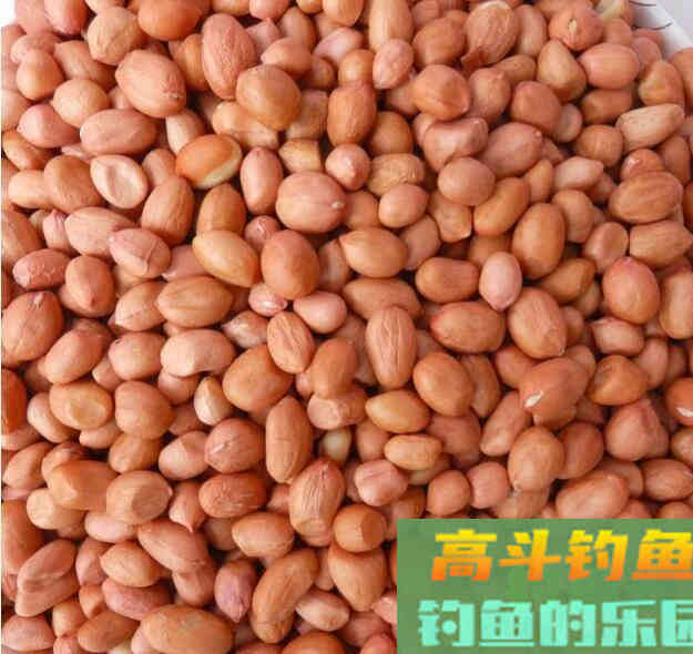 花生米能钓鱼吗？用花生米钓鱼的方法