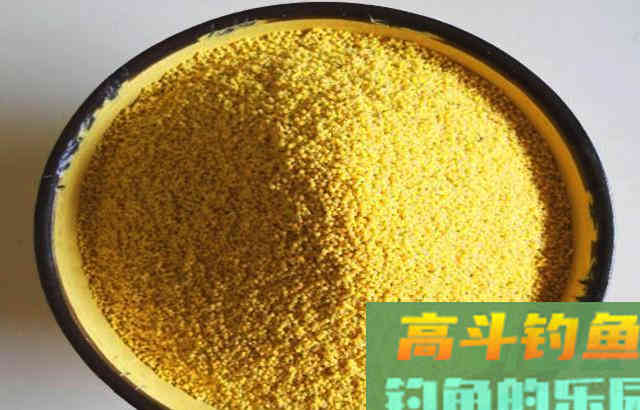 夏季钓鱼，用自制果酸米打窝，效果很好