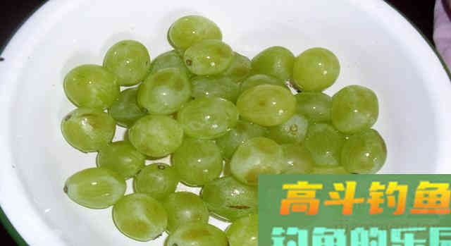 这8种东西做钓饵，虽其貌不扬但钓效好