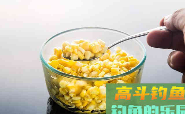 每到钓鲤鱼草鱼季节，我都用这款自制玉米粒饵料