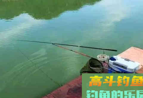 春季抽窝诱鲫鱼，别人已经连杆，而自己还没有发窝
