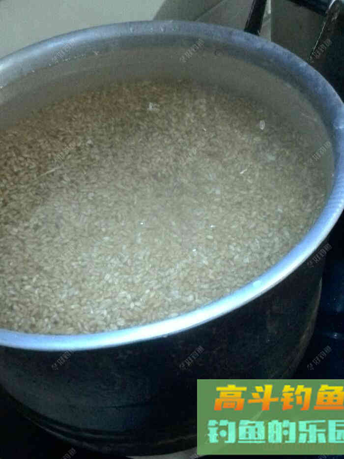 一款自制老缸杂粮窝料，实战使用多年，效果好