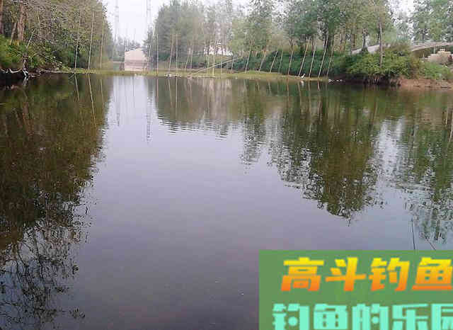 新窝、老窝优劣势分析，钓鱼人来看看吧