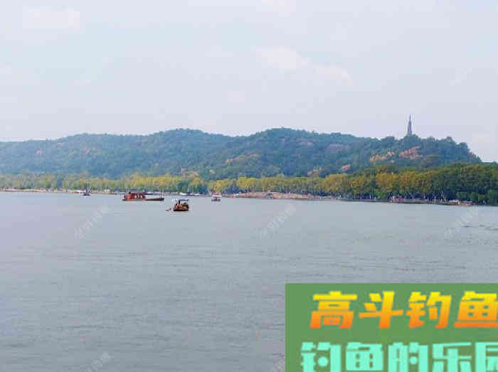 自制钓鲫鱼酒小米的几个误区，可帮助你钓获大鲫鱼