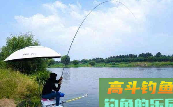 夏季野钓这几款自制饵料