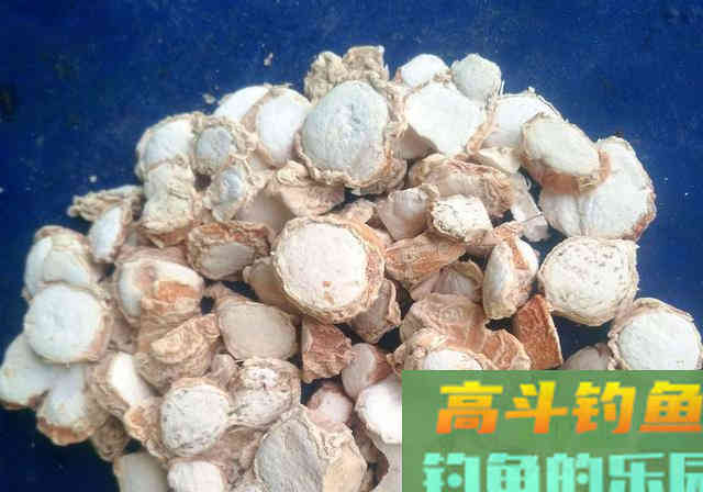 每年三月份，我都用这款自制饵料钓鲤鱼
