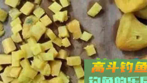 秋钓鲤鱼饵料秘方，钓一次渔获猛增好几倍