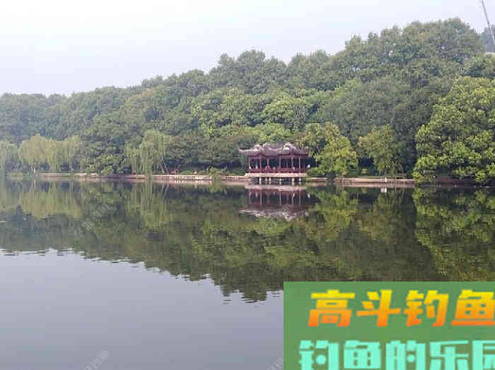 我对状态饵浅识和实操