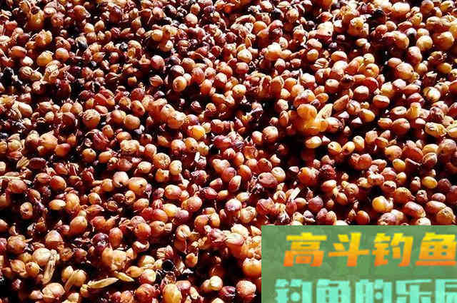 经典自制窝料配方分享，穿透力强聚鱼快，四季钓鱼都能用