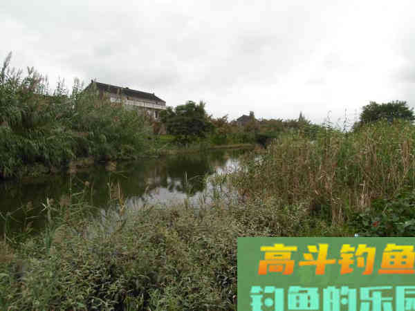 冷天钓鱼别只单挂蚯蚓红虫，多一个小步骤事半功倍