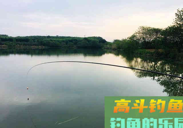 水边捡到一包臭豆腐饵料当中掺了点，半天钓得28斤鱼