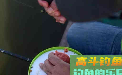 关于拉丝粉开拉饵的运用技巧知识