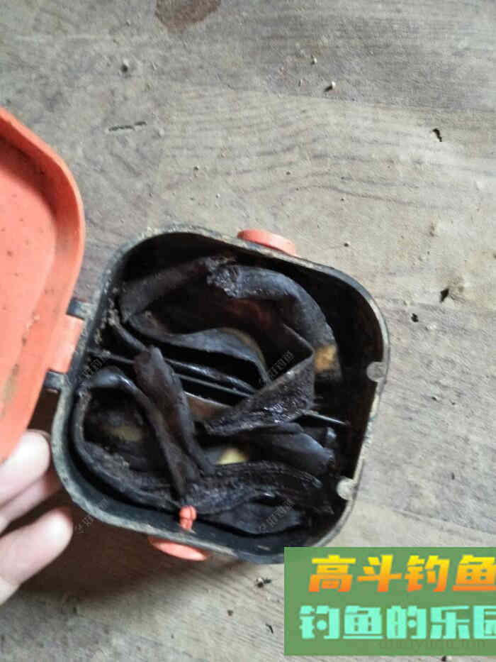 浅谈我的多种蚯蚓养殖方法