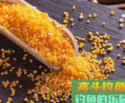 它被垂钓界公认的万能饵，玉米