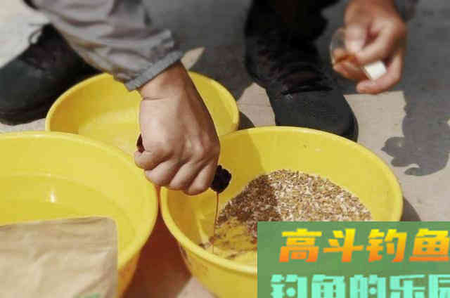 秋天野钓的时候，可以在开饵时添加的一些辅料