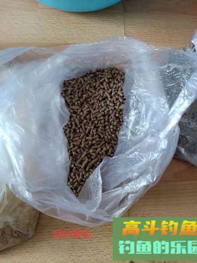 辽河海竿钓鲤鱼多年，玉米面最好用，附糟食饵配制步骤