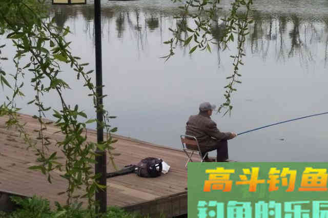 钓鱼打窝前，钓友把这些搞清楚，才能钓好鱼