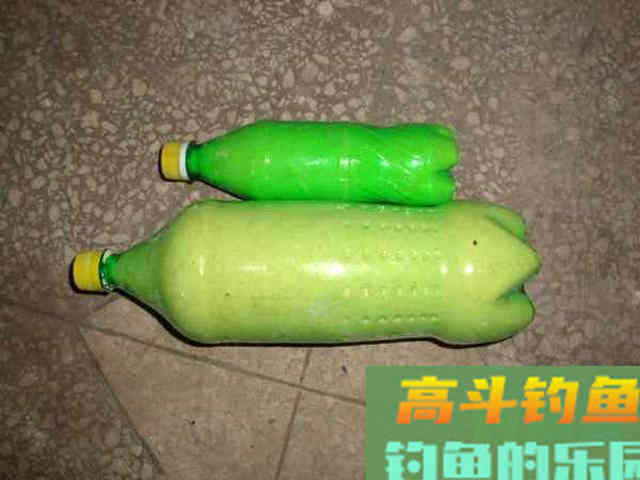 用自制饵料钓鲢鳙，这鱼一来一群，钓不散