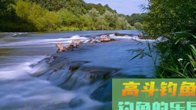 打窝这6种误区，会直接影响钓鱼心情的