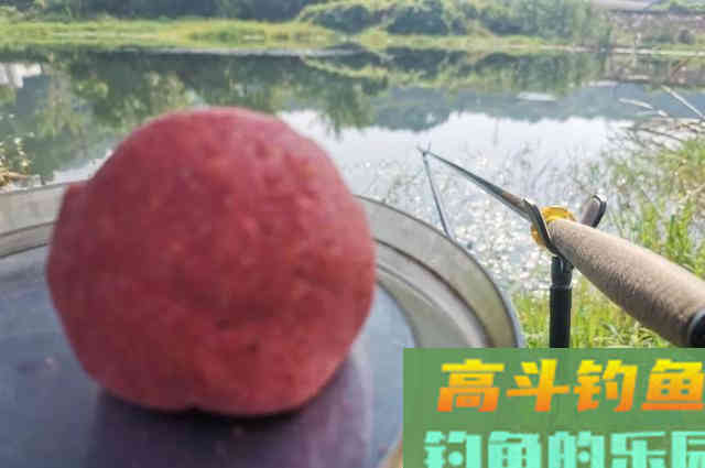 野钓小鲫鱼饵料状态很重要，好好考虑这些问题