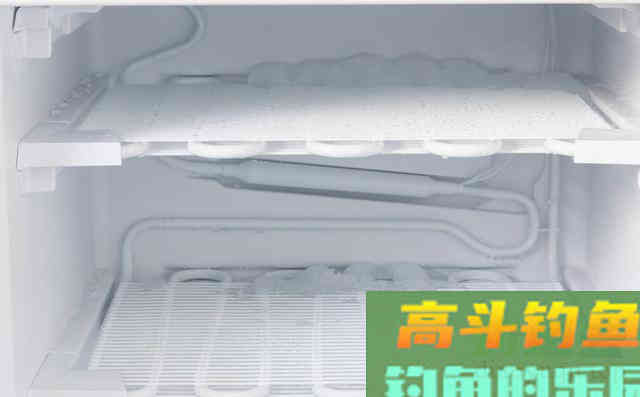 用不完的蚯蚓，用这3种保存方法，下次钓鱼依然能用